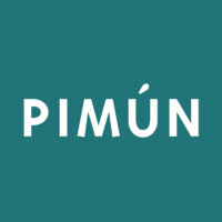 Pimun logo - Similar company to Archcath