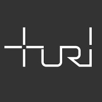 Turi Design logo - Similar company to Lie Alonso Dynasty