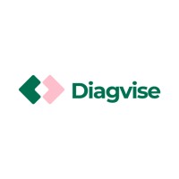 Diagvise Bilgi Teknolojileri A.Ş. logo - Similar company to Cengturkey