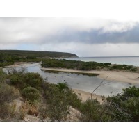 Creek Bay Eco Park