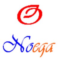 Guangzhou Noega Sports Equipment Co.Ltd logo - Similar company to Titan Sports Co., Ltd.