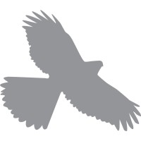 Four Hawks