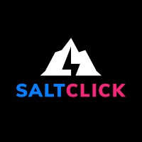 SaltClick logo - Similar company to Consultnet Technology Services And Solutions