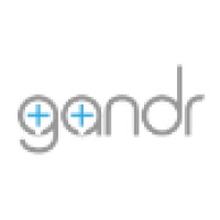 gandr logo - Similar company to Vyo
