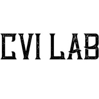 CVI LAB logo - Similar company to 2Share Networks B.V.