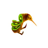 The Rock Dwellers logo - Similar company to Rock For You Sk