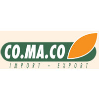 Co.Ma.Co SPA logo - Similar company to Accountants And Auditors’ Association S.P.A.