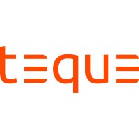 Teque (Custom Software) logo - Similar company to Cloud Management Services Srls