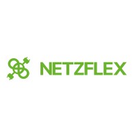 Netzflex GmbH logo - Similar company to Flexhome.Energy