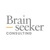 Brainseeker Consulting logo - Similar company to Brainseeker / Heinkel Projects