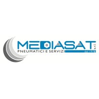 Mediasat Pneumatici logo - Similar company to Airdp