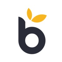 Grupo Brota logo - Similar company to Igconsulting