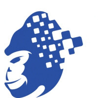 The Digital Gorilla