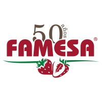 GRUPO FAMESA logo - Similar company to Famesa