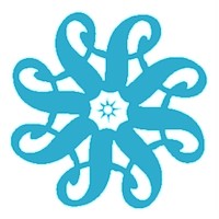 Amanda Webb - Spiderworking logo - Similar company to Techies Go Green