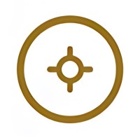 Vida Align logo - Similar company to Bespoke Compass