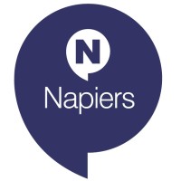 Napiers Financial Services logo - Similar company to Dreamwise Financial Services
