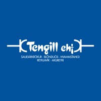 Tengill ehf logo - Similar company to S+B Systemtechnik