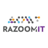 Razoom.IT logo - Similar company to Razoom