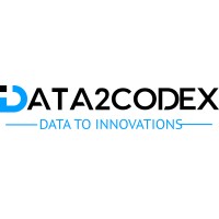 Data2codex logo - Similar company to Devsaar It Solutions