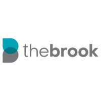The Brook Holding l Vivacity l Prodigy logo - Similar company to Ssk Consultancy