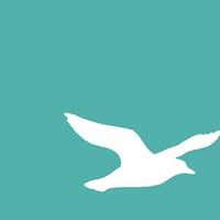 Cape Publishing