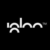 Igloo Sistemi logo - Similar company to Reverse Paradigm