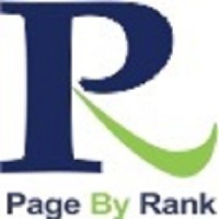 Page By Rank logo - Similar company to Techacme Services