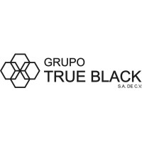 Grupo True Black logo - Similar company to Wao Lab