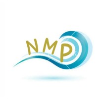 NM Pumps logo - Similar company to P19 Versatile Fab