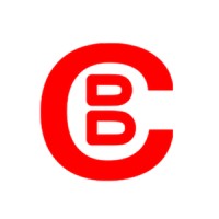 BigCash Token logo - Similar company to The Helping Hand