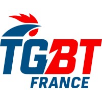 TGBT France logo - Similar company to Myfowo.Com