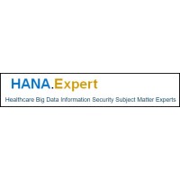 HANA.EXPERT logo - Similar company to Hana Consulting