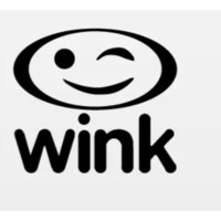Wink Motors Inc. logo - Similar company to Wink