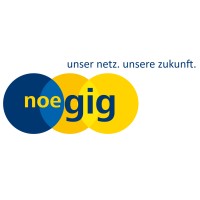 nöGIG Service GmbH logo - Similar company to Schubert Cleantech Gmbh