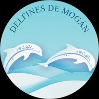 Apartamentos Vacacionales Delfines de Mogán logo - Similar company to Tasca Sansofé