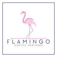 Flamingo Capital Partners logo - Similar company to Hayla