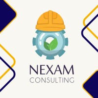 Nexam Consulting S.A.C. logo - Similar company to Imsg Solution