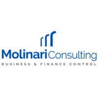 Molinari Consulting  srl logo - Similar company to Cesini Design