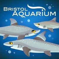 Bristol Aquarium logo - Similar company to Môr Cymru