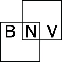 BlockNext Ventures logo - Similar company to Blocknext Labs