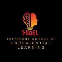 TSOEL logo - Similar company to Triponary