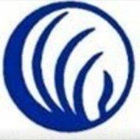 NAMI SWMO (The National Alliance on Mental Illness) logo - Similar company to S-Tron Security Electronics