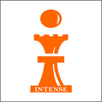 Intense Group logo - Similar company to Intense Group Uk