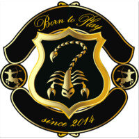 Born to Play logo - Similar company to Name Change