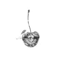 Cherry Art Hub logo - Similar company to B11