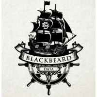 Blackbeard Data Analytics, LLC logo - Similar company to Welldatabase