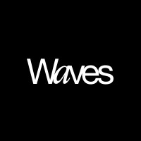 Waves logo - Similar company to Third Vista