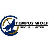 Tempus Wolf Group Limited logo - Similar company to Absolute Construction Planning Ltd