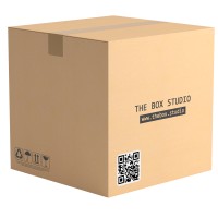 theBoxStudio logo - Similar company to The Box Studio